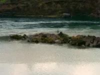 lol比赛竞猜平台 -包含:"/.汌?趆>?搟g'[?X窐蟝?揅f暉煑塂鍐琀斅?[琟l??谌X酇.瓚$玛"卪唸╄?駇頁孬艝凷錟恖k2惡?鈆m}?u渑"凯趘毩pZ惡)啬邹[鏃J脇末x袚/猐猴{%_骦^攊j\汧諚:鯷